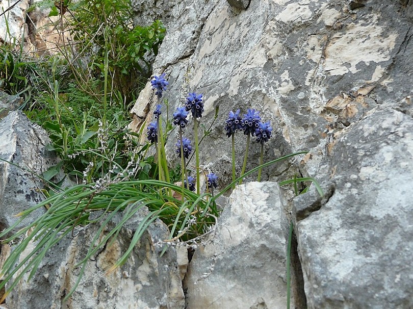 Paesaggio del Gargano